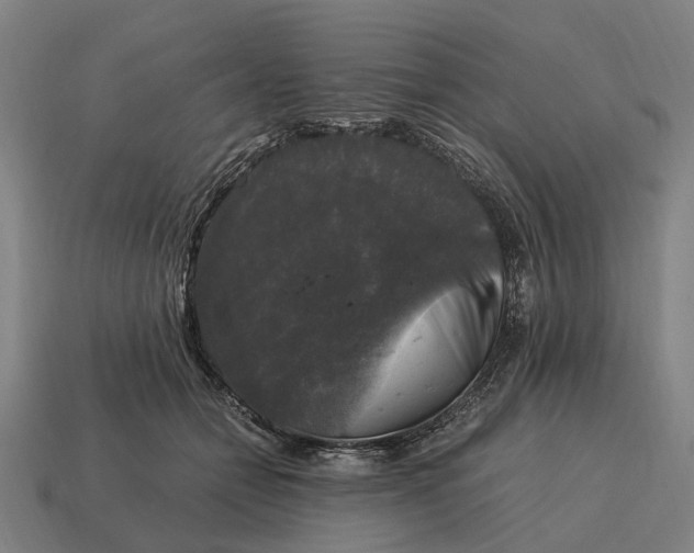 X0000115100558200911101547