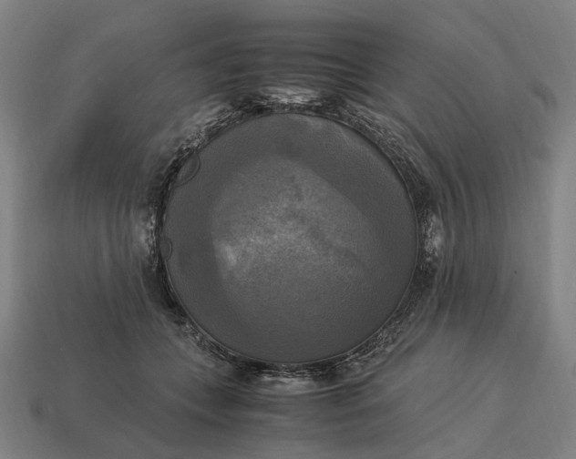 X0000115100559200911101547