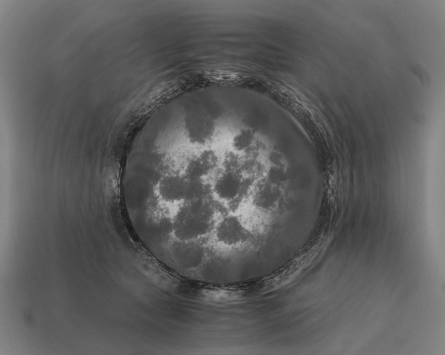 X0000115100561200911101547