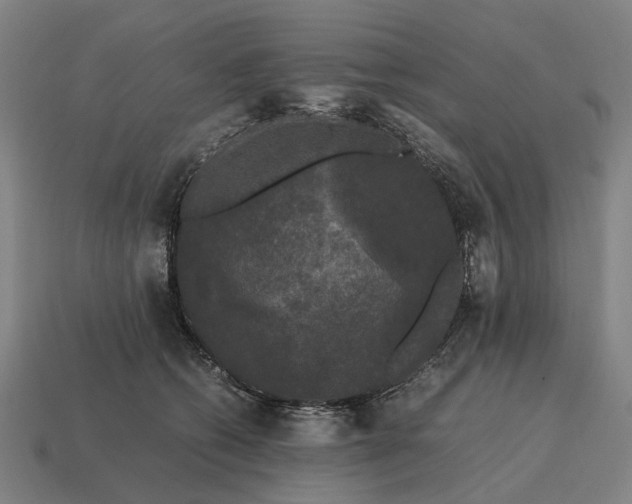 X0000115100562200911101547