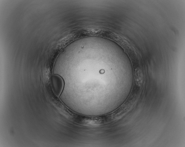 X0000115100563200911101547