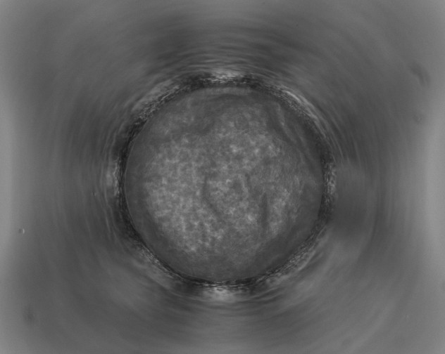 X0000115100565200911101547