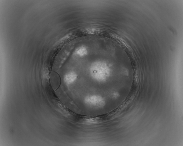 X0000115100569200911101547