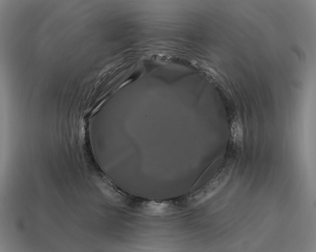 X0000115100570200911101547