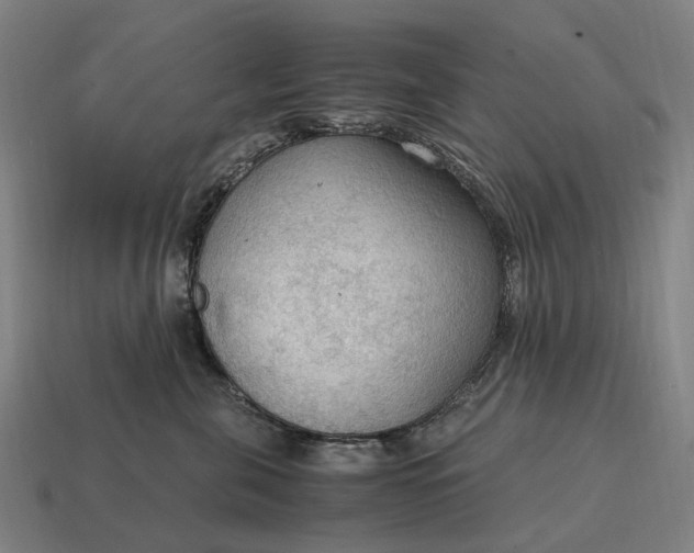 X0000115100571200911101547