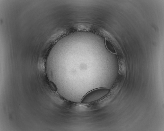 X0000115100573200911101547