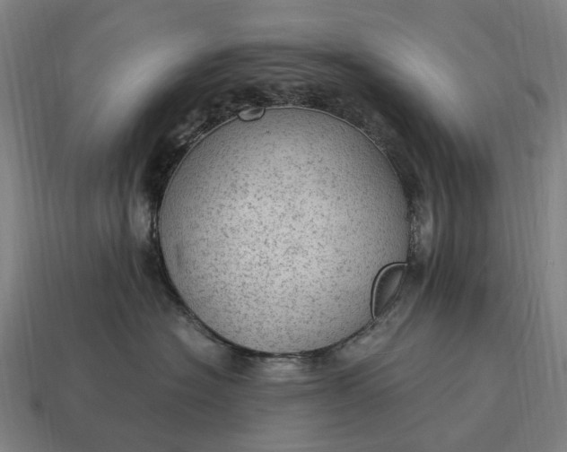 X0000115100574200911101547