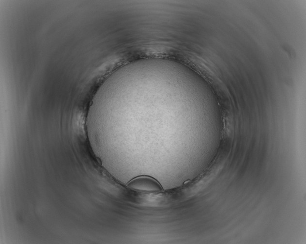X0000115100575200911101547