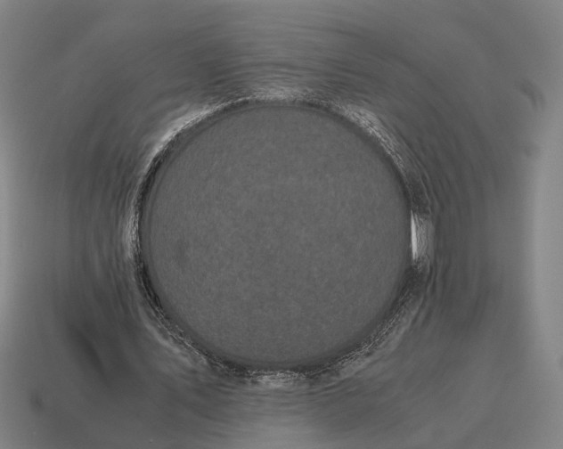 X0000115100579200911101546