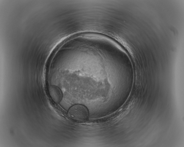 X0000115100580200911101546