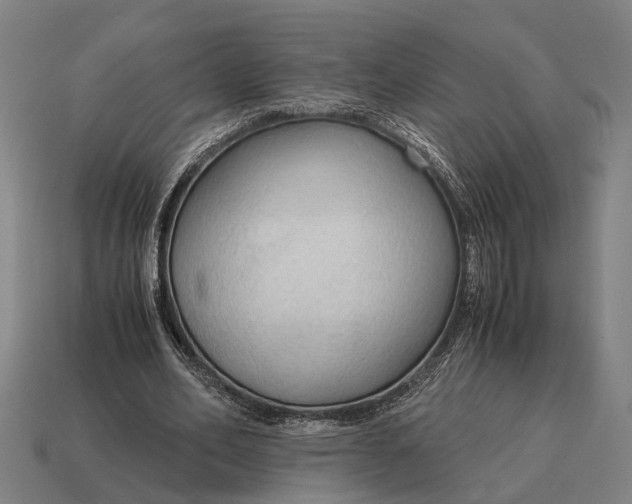 X0000115100582200911101546