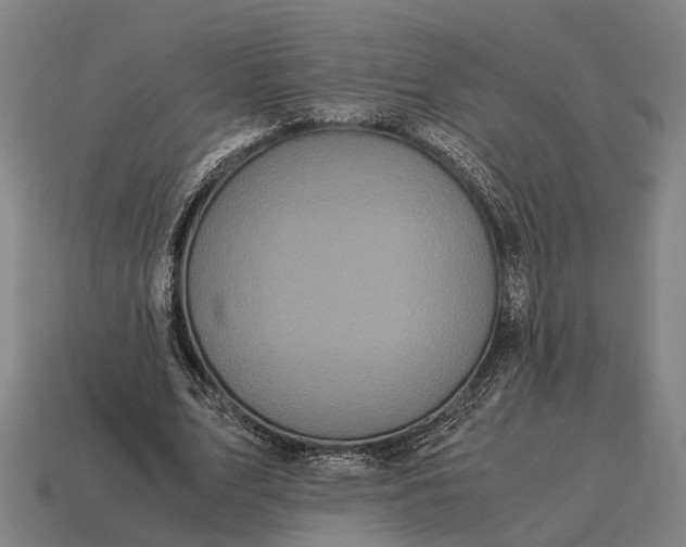 X0000115100583200911101546