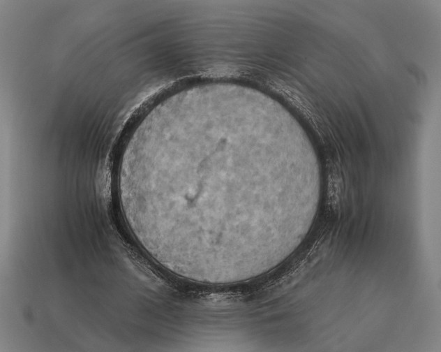 X0000115100584200911101546