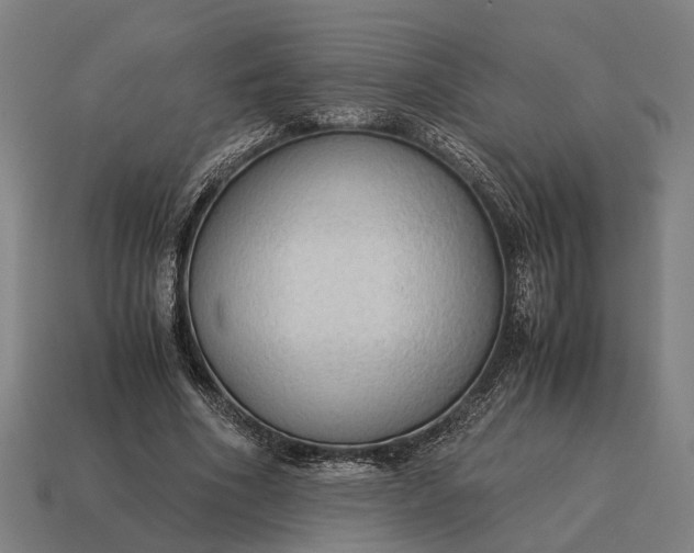 X0000115100586200911101546