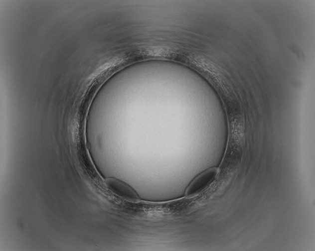 X0000115100587200911101546
