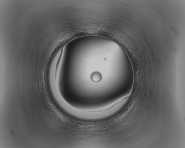 X0000115100589200911101546