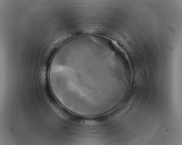 X0000115100590200911101546