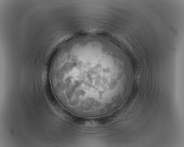 X0000115100591200911101546