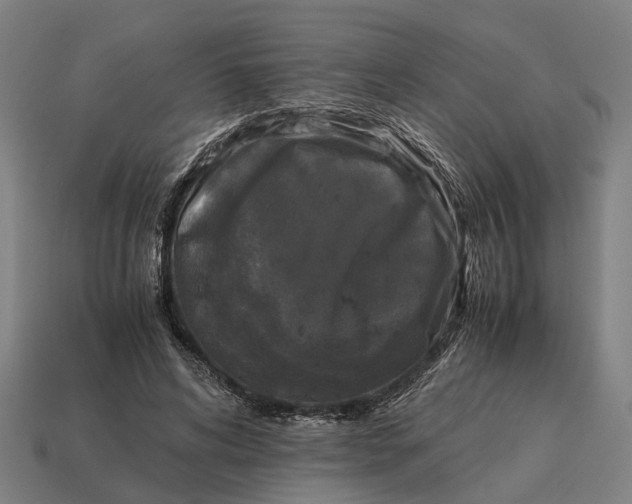 X0000115100592200911101546