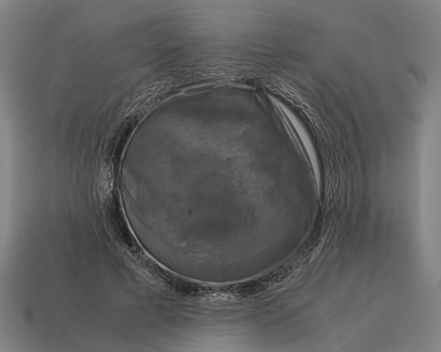 X0000115100593200911101546