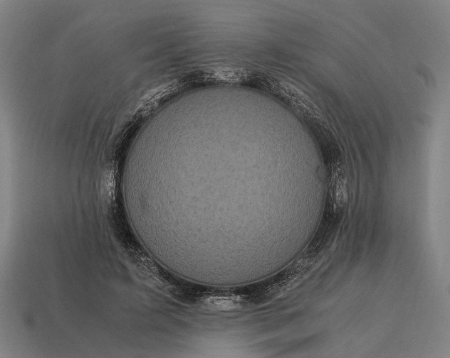 X0000115100595200911101546