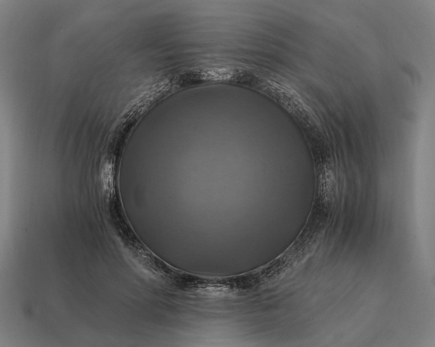 X0000115100598200911101546