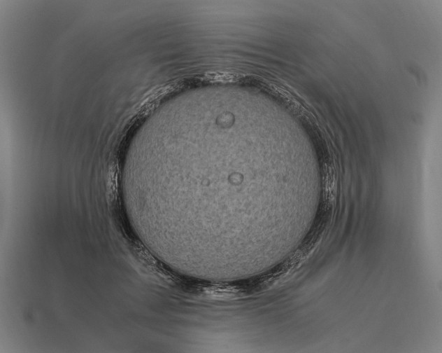 X0000115100603200911101546