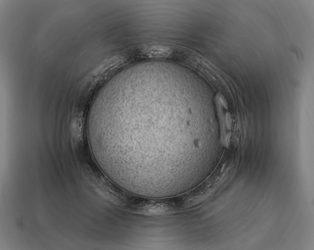 X0000115100604200911101546