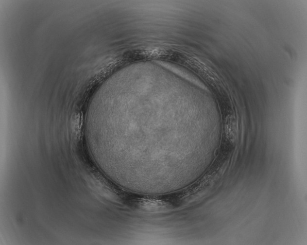 X0000115100605200911101546