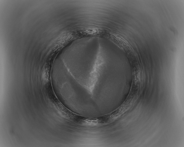 X0000115100606200911101546