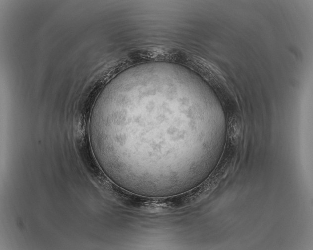 X0000115100607200911101546
