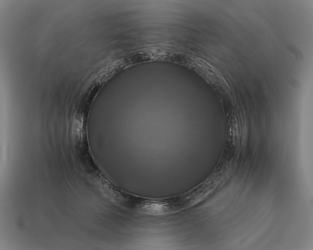 X0000115100610200911101546