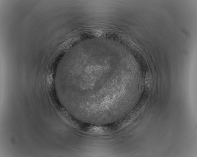 X0000115100611200911101546