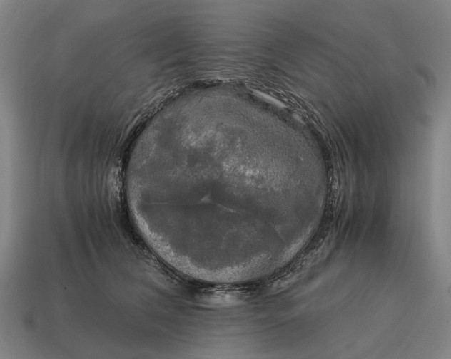 X0000115100612200911101546