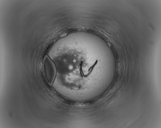 X0000115100613200911101546
