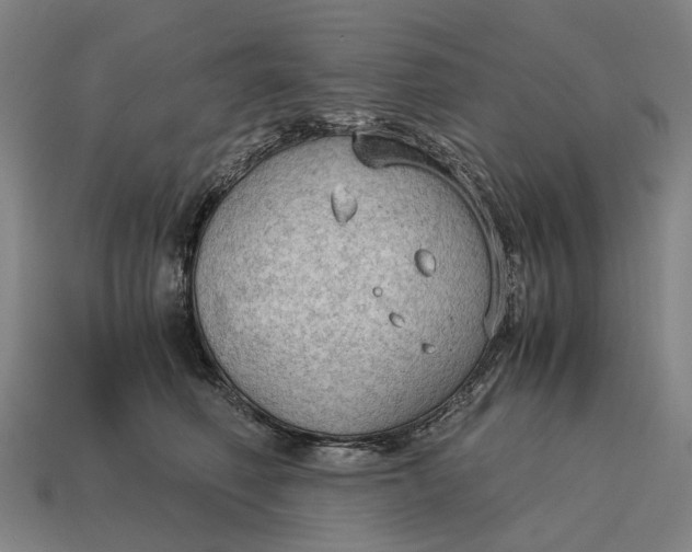 X0000115100614200911101546