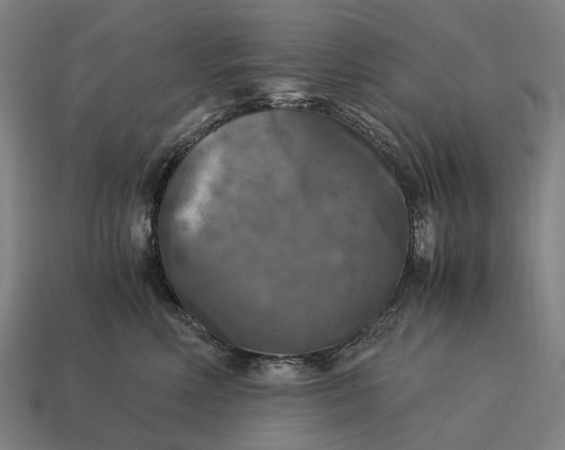 X0000115100618200911101546