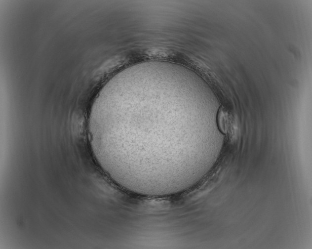 X0000115100619200911101546