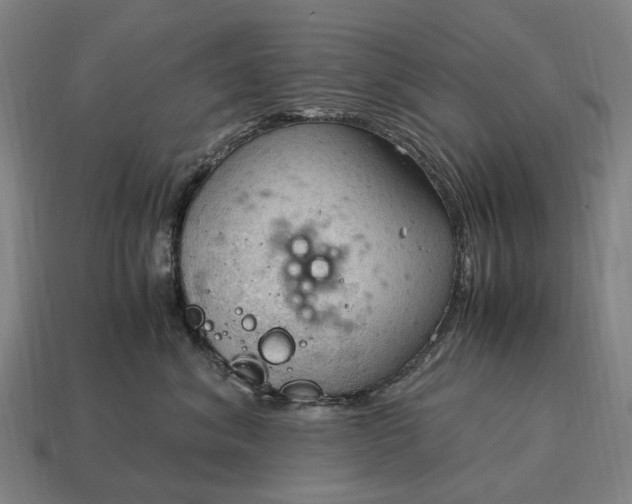 X0000115100620200911101546