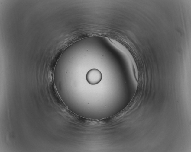 X0000115100621200911101546