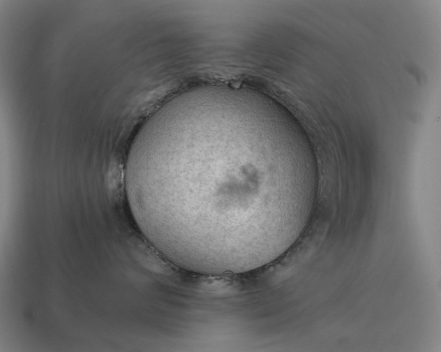 X0000115100624200911101546