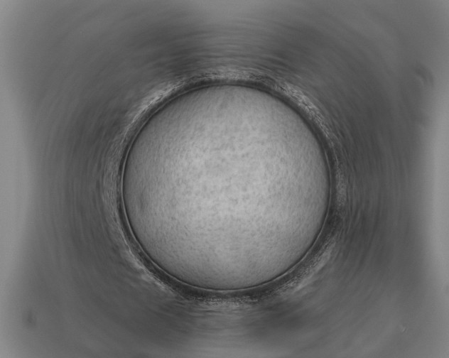 X0000115100625200911101545