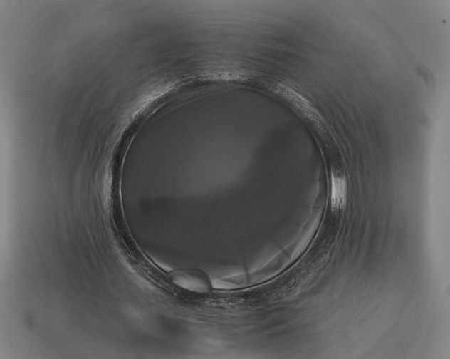 X0000115100627200911101545