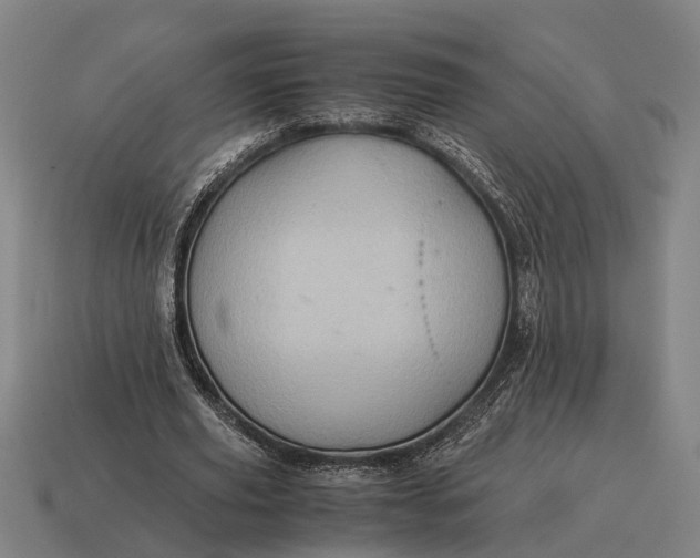 X0000115100629200911101545