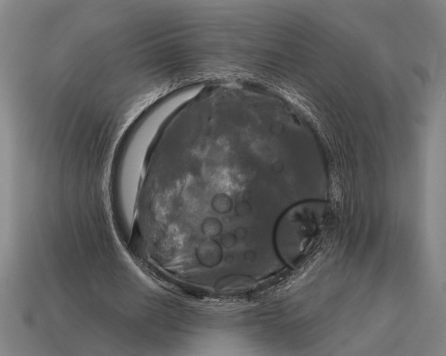 X0000115100630200911101545