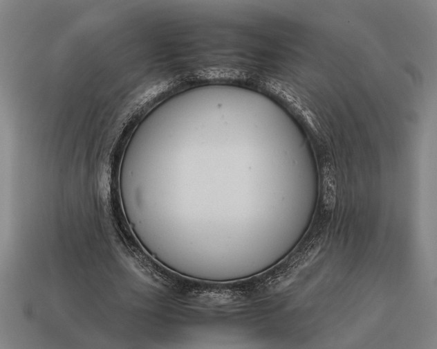 X0000115100631200911101545