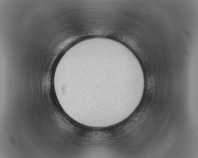 X0000115100632200911101545