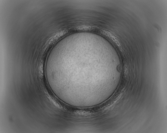 X0000115100633200911101545