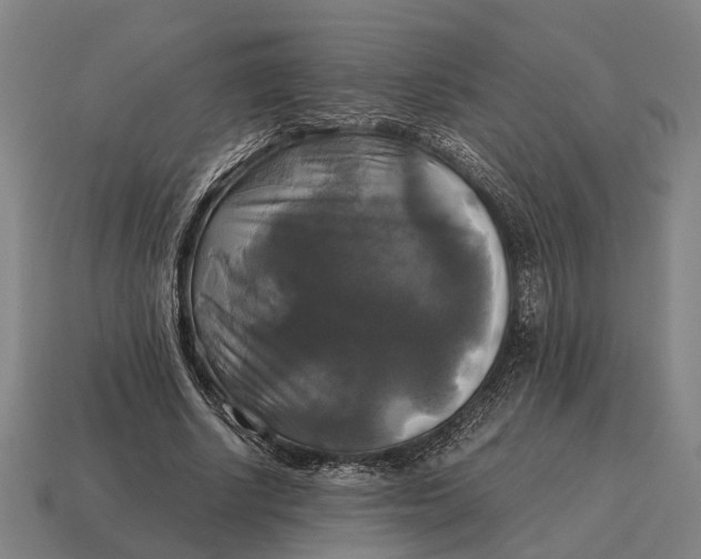 X0000115100634200911101545