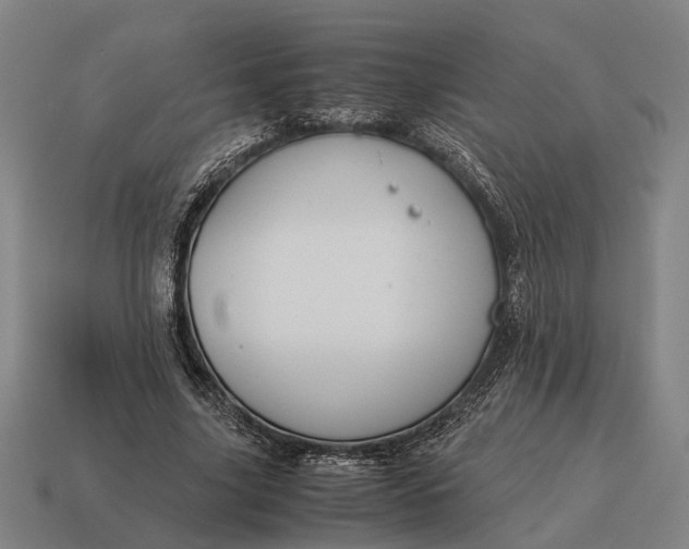 X0000115100635200911101545
